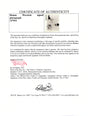 Certificate of authenticity – Dionne Warwick – Dionne Warwick signed photograph