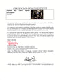 Certificate of authenticity – Dean Martin and Jerry Lewis – The Caddy