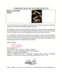 Certificate of authenticity – Quincy Jones – Quincy Jones signed photograph